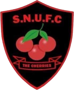 Sturminster Newton United