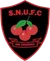 Sturminster Newton United